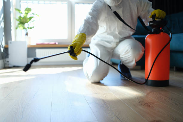 Best Pest Prevention Services  in Sand Lake, MI