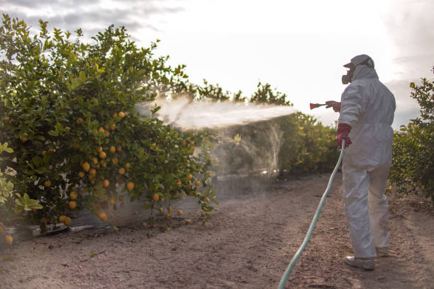 Best Pest Inspection Near Me  in Sand Lake, MI