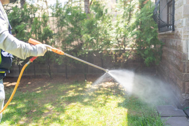 Reliable Sand Lake, MI Pest Control Solutions