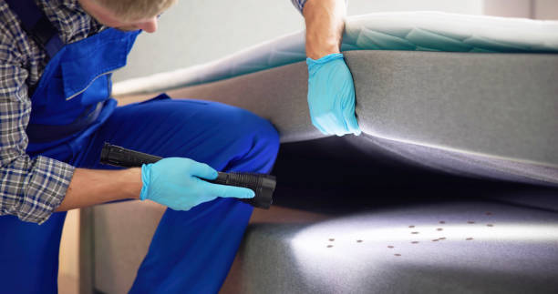 Best Local Pest Control Services  in Sand Lake, MI