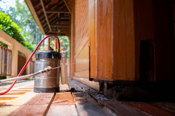 Best Termite Control Services  in Sand Lake, MI