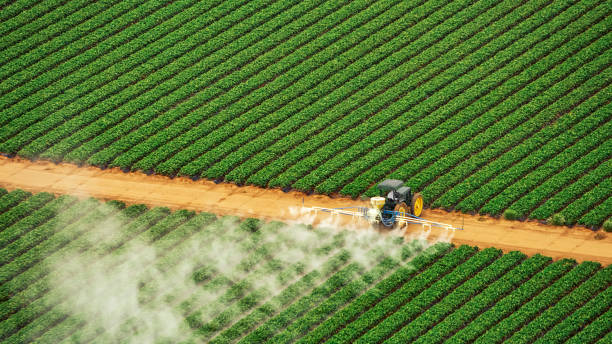 Pest Prevention Services in Sand Lake, MI