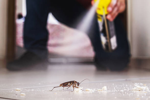 Best Cockroach Control Services  in Sand Lake, MI