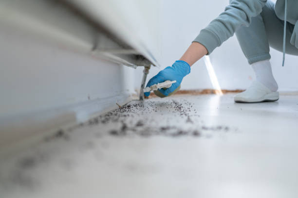 Best Best Pest Control Companies  in Sand Lake, MI