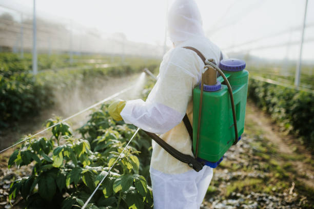 Best Bed Bug Extermination  in Sand Lake, MI